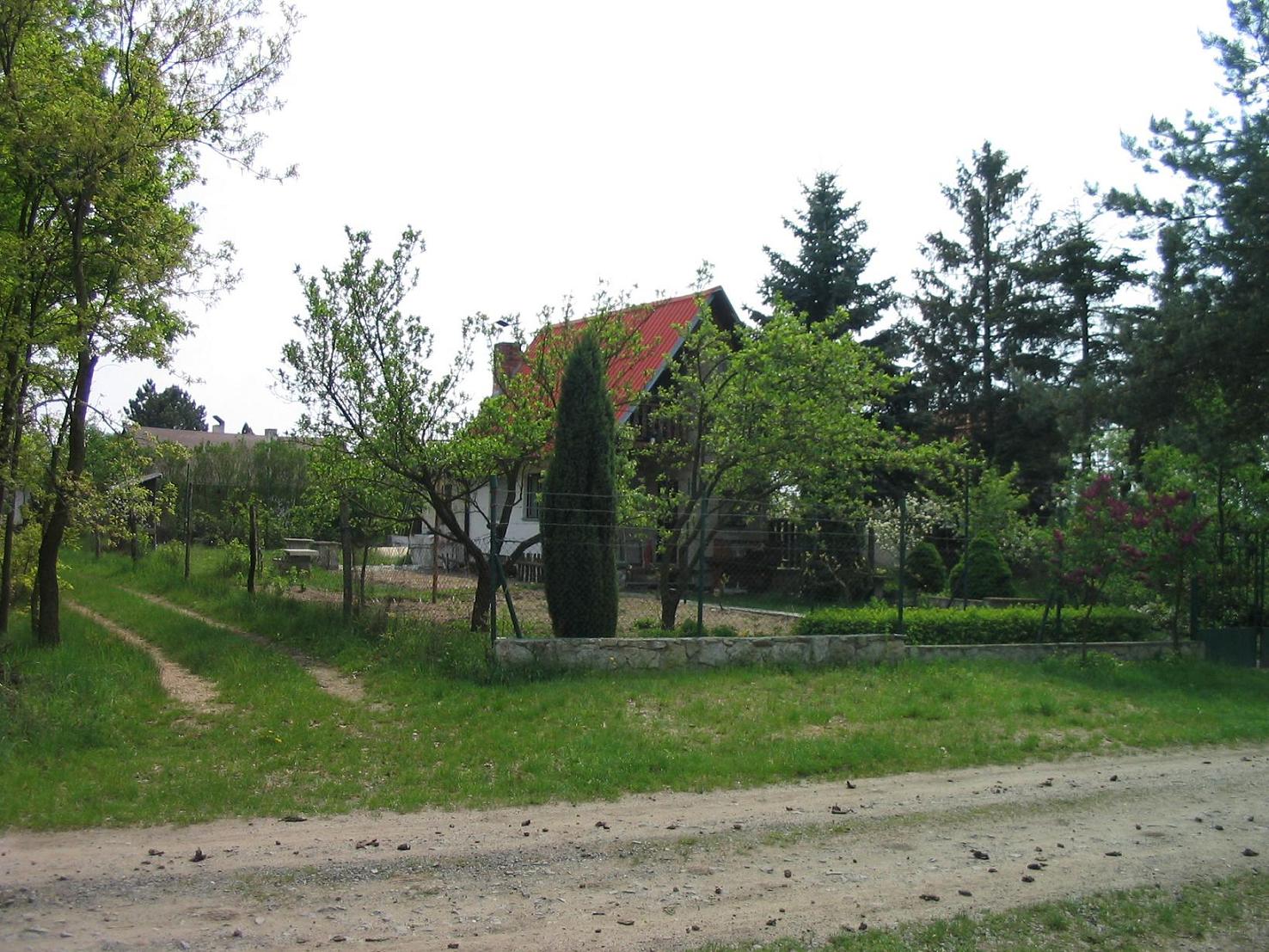 lab