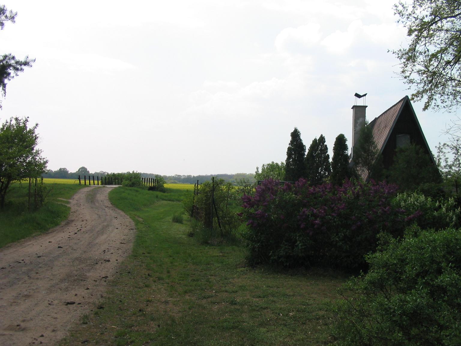 lab
